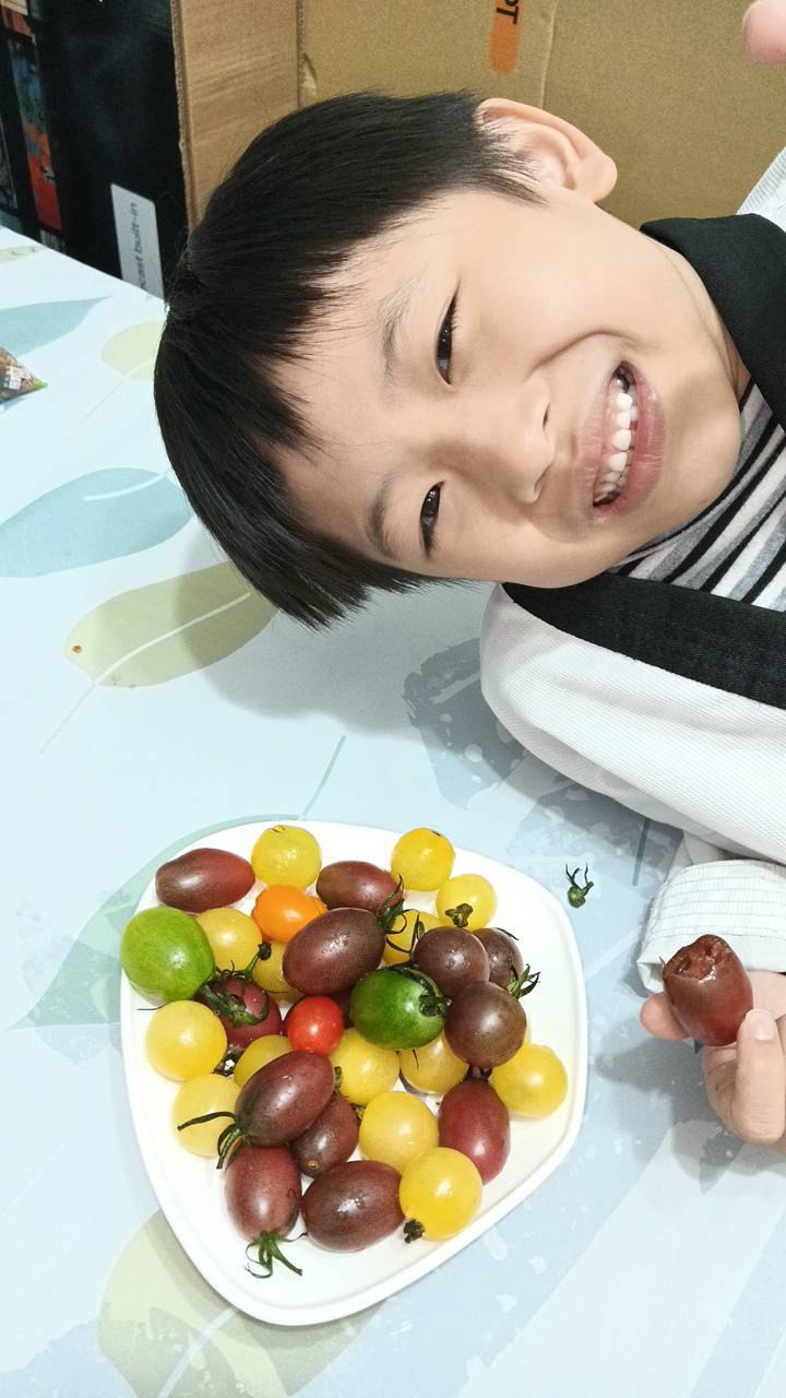 YOYO
