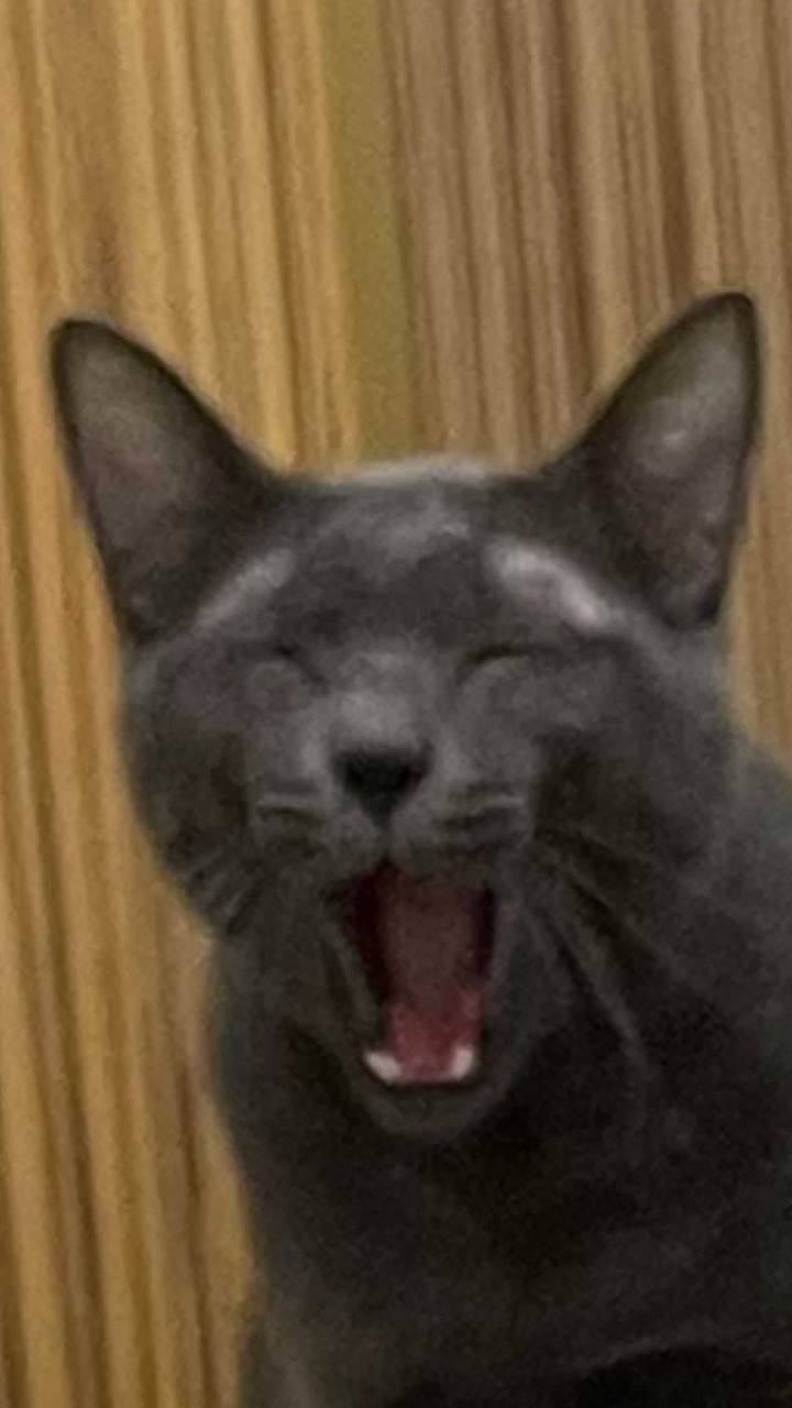 Q比