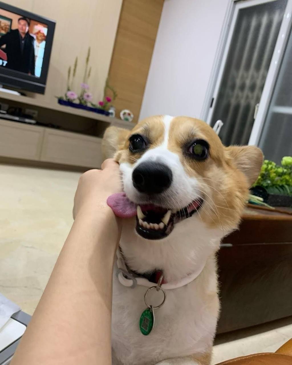 娜娜