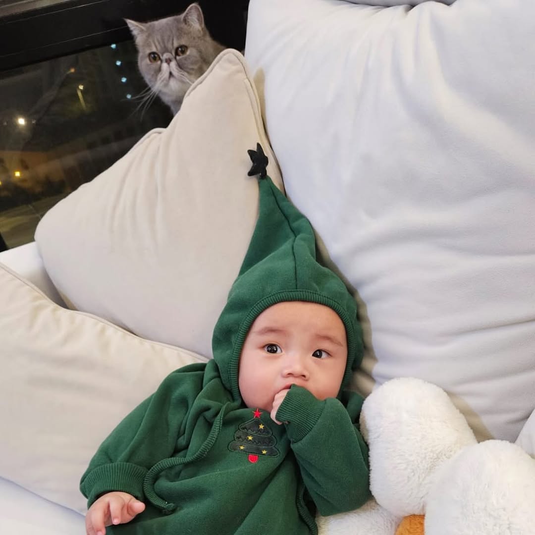 QQ